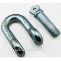 High Tensile Drop Forged Screw Pin D Shackle --Qingdao Rigging